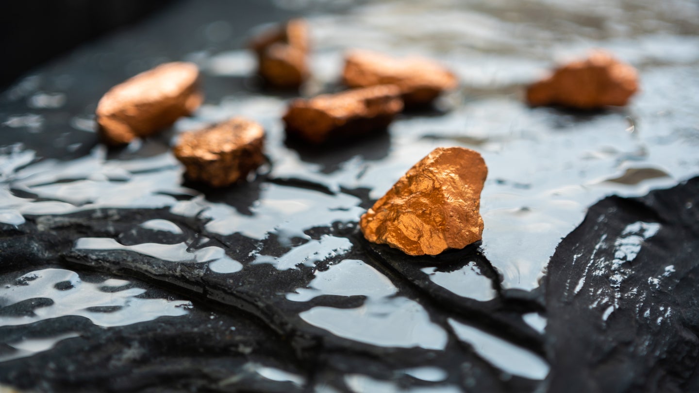 caml-pour-acquerir-de-nouvelles-ressources-mondiales-pour-118-millions-de-dollars