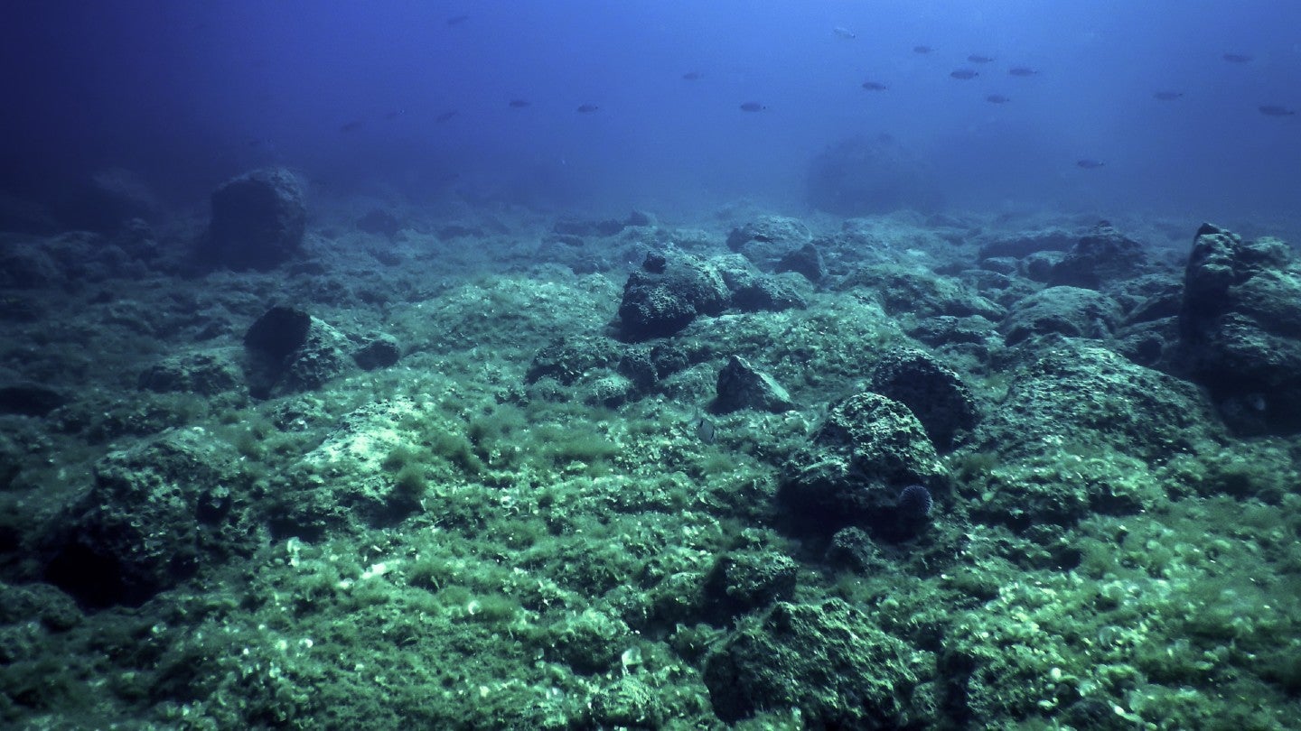 l’exploitation-en-haute-mer-reste-un-champ-de-bataille-hostile