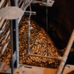 Troilus Gold signe des termes de congé avec Boliden pour le concentré de cuivre-or