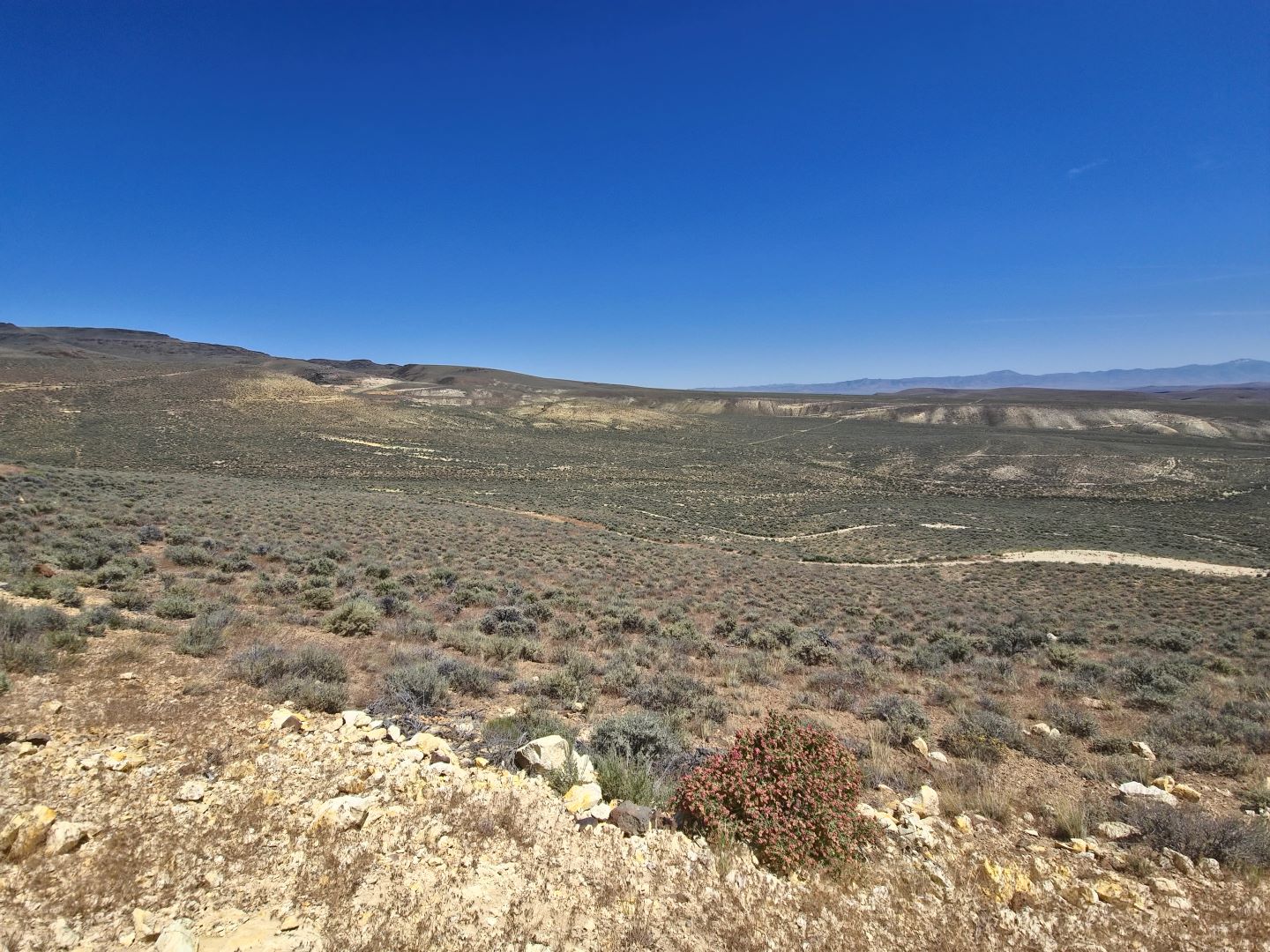 pdg-d’eagle-energy-sur-les-«vents-de-queue-administratifs»-nous-entrainant-la-production-d’uranium