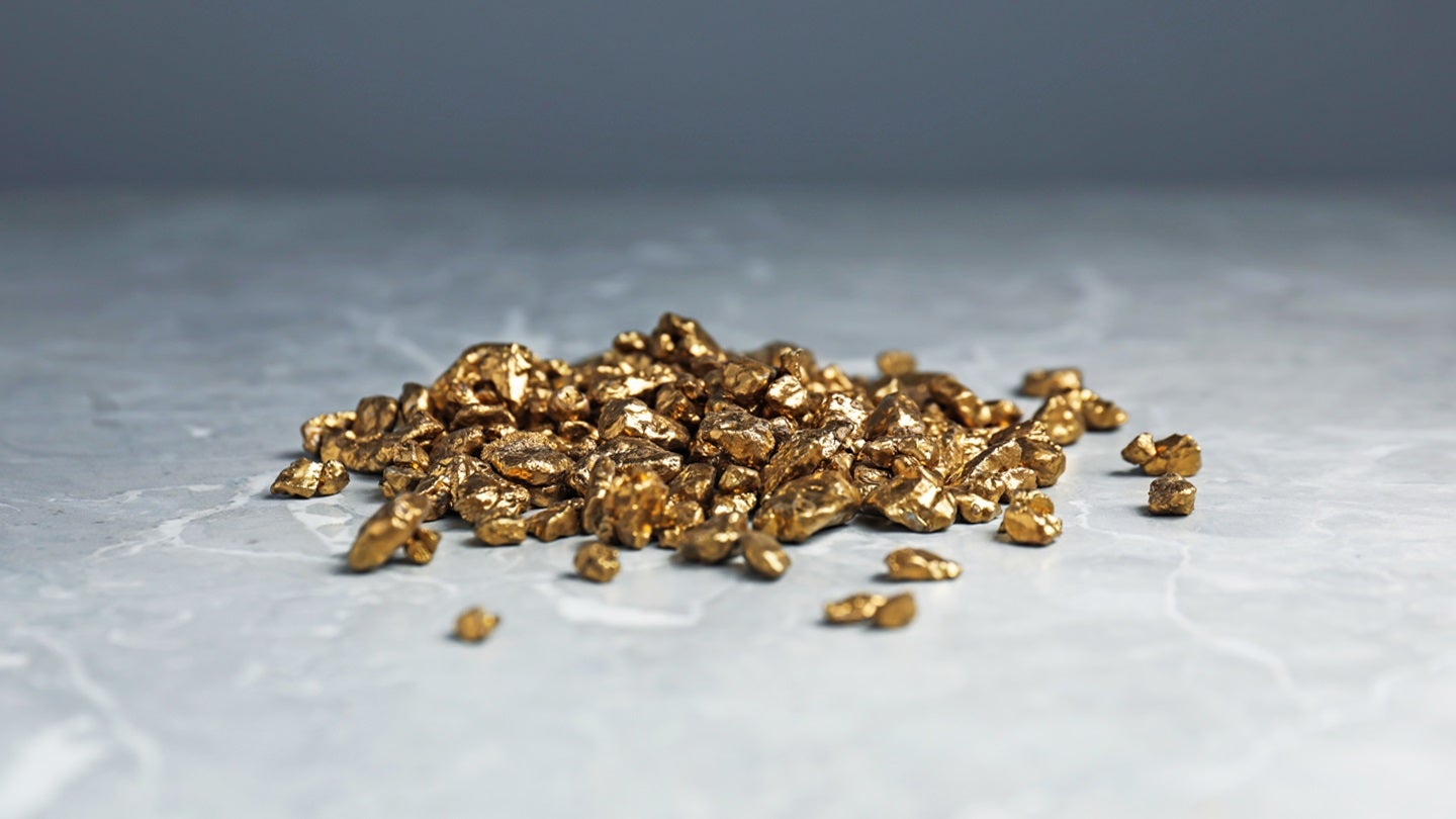 new-found-gold-pour-acquerir-des-ressources-maritimes-pour-211-millions-de-dollars