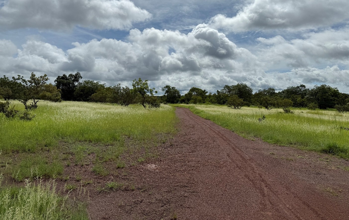 dynacor-fait-le-point-sur-ses-activites,-notamment-sur-l’avancement-de-son-expansion