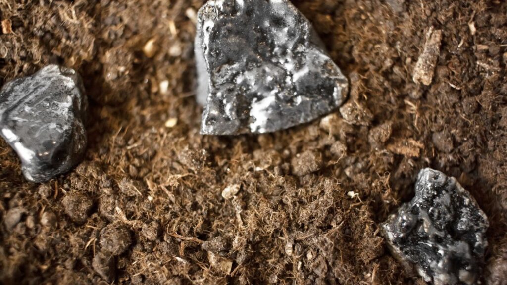 Magnum va acquérir le projet de terres rares Wet Mountains aux États-Unis